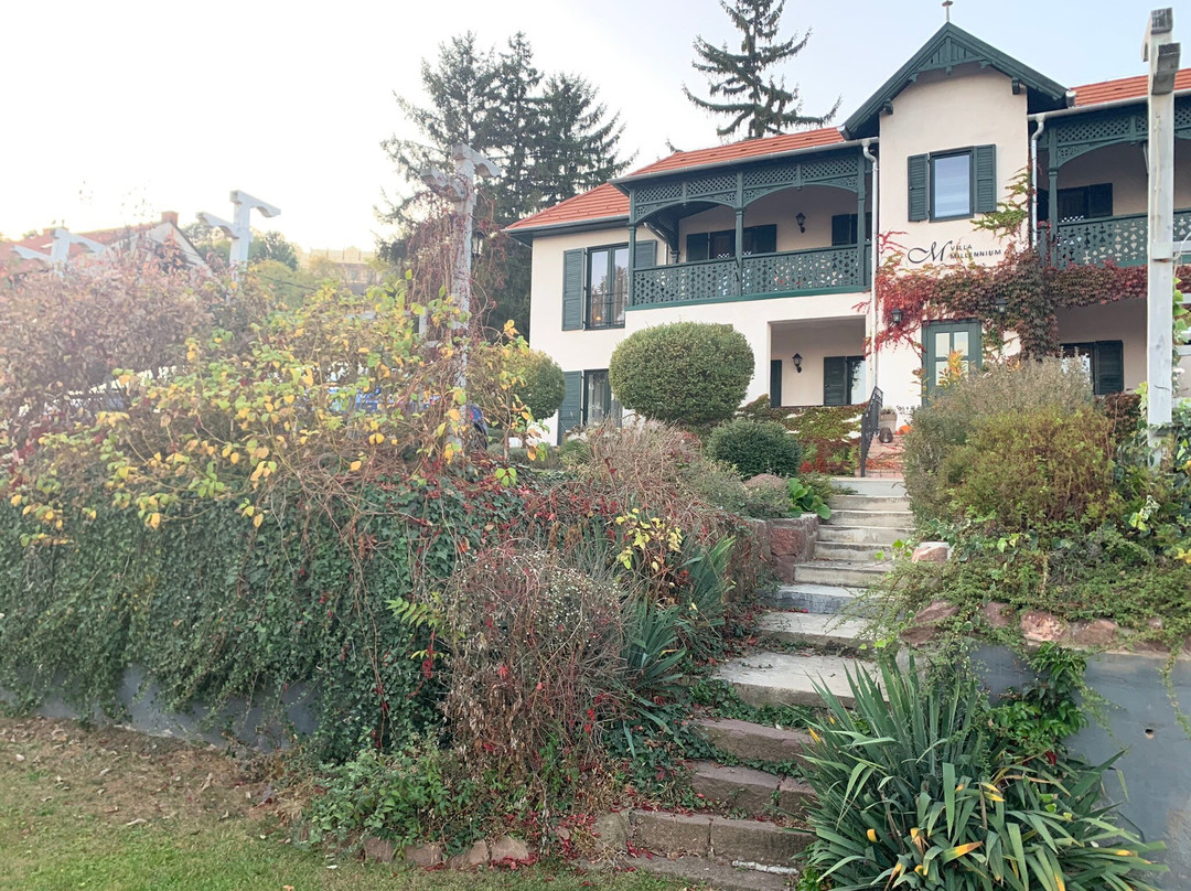 Villa Millennium主图