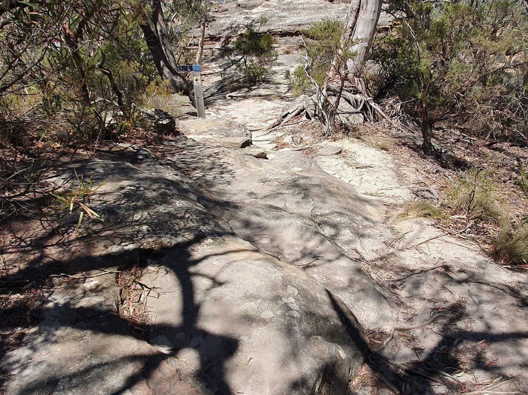 Pulpit Rock Lookout景点图片