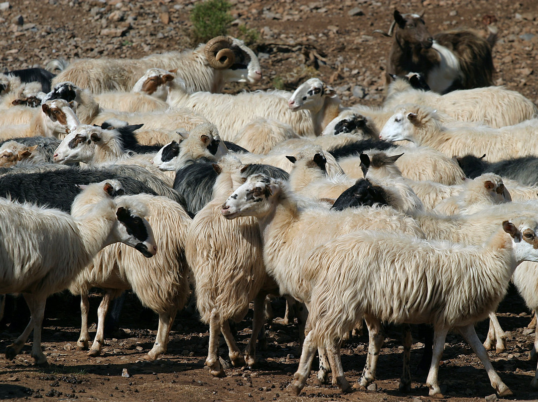 See You Soon Travel-Vryses必去景点