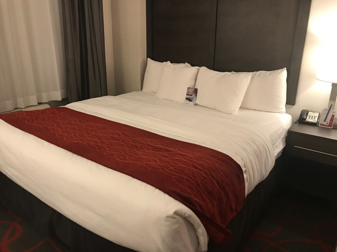Comfort Inn & Suites near Stadium主图