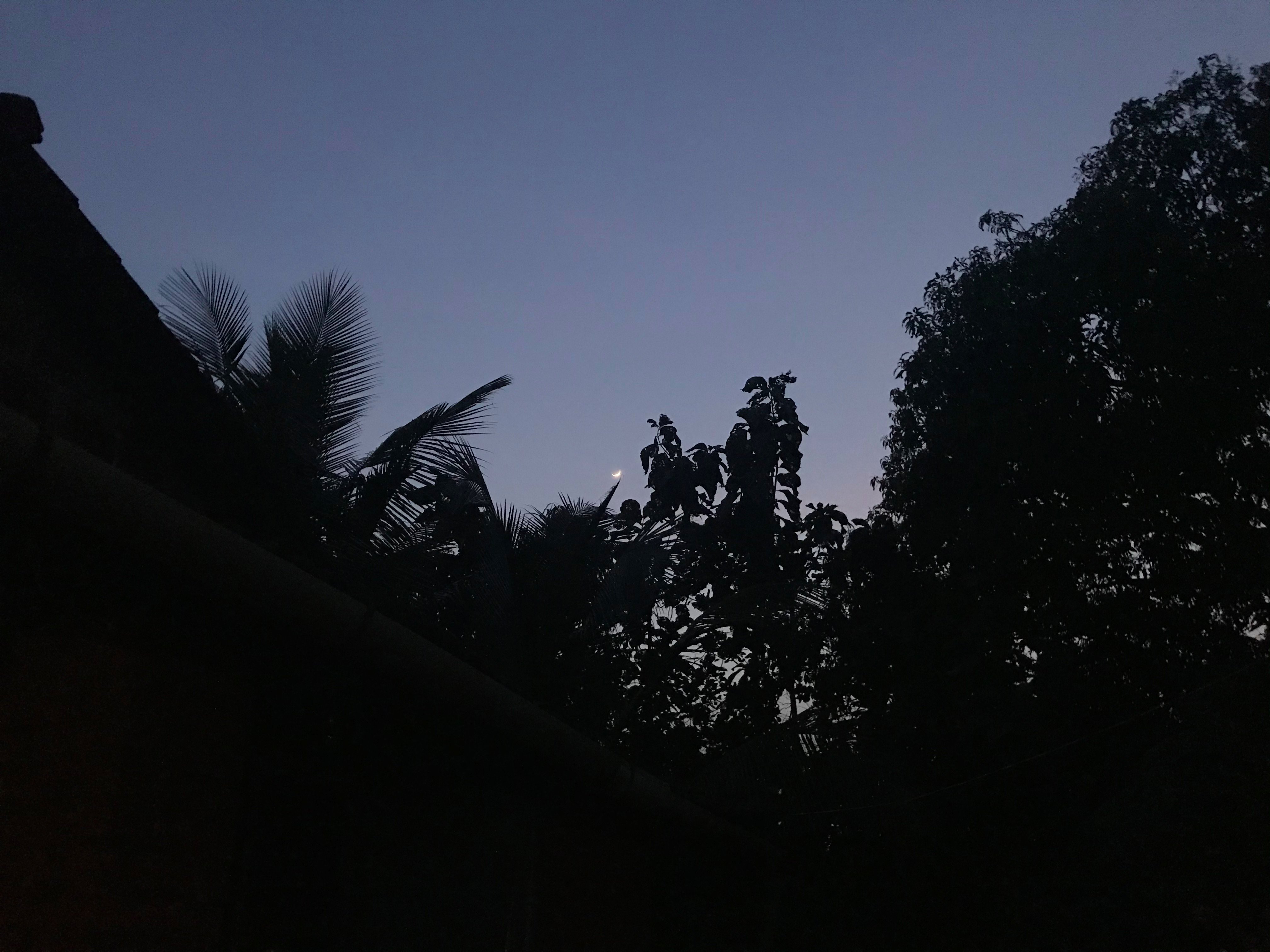 Dhuri Homestays-浴室