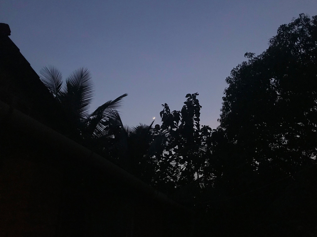 Dhuri Homestays主图