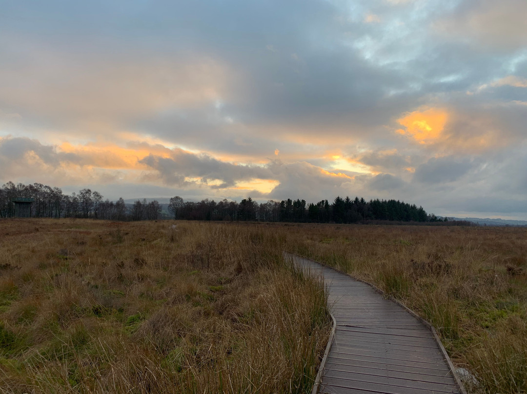 Flanders Moss National Nature Reserve景点图片