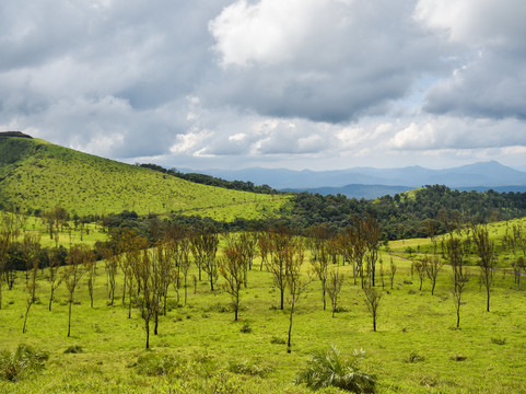 Moonmist Homestay主图