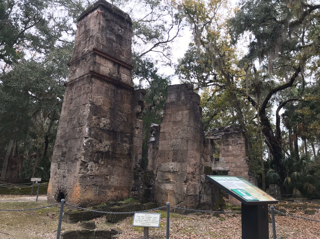 Bulow Plantation Ruins Historic State Park景点图片