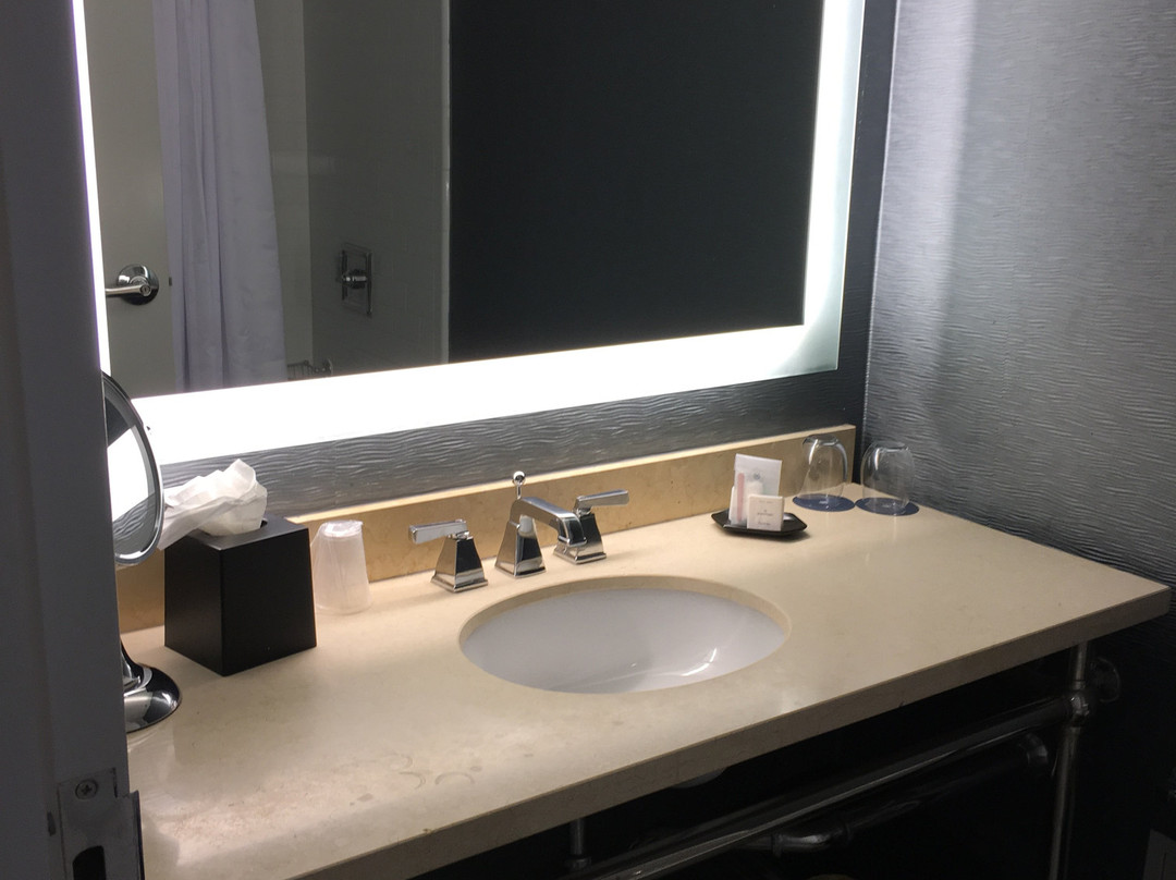 Sheraton Arlington Hotel主图