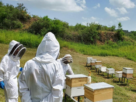 Caribe Tours PR-庞塞必去景点