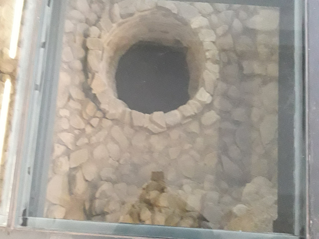 Nucleo Museologico景点图片