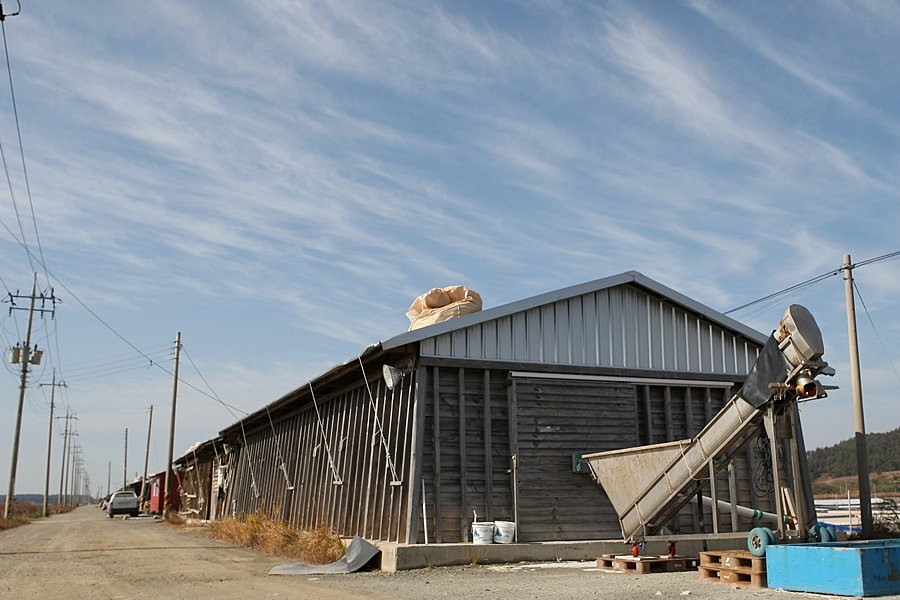 Taepyeong Salt Farm-新安郡必去景点