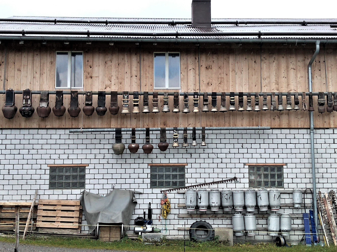 Gimmelwald - Tanzbodeli-Gimmelwald必去景点