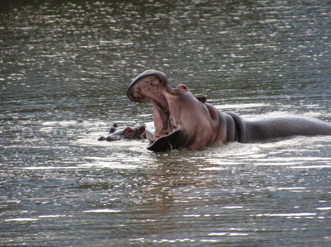 Safaris Partners-莫洛哥罗必去景点