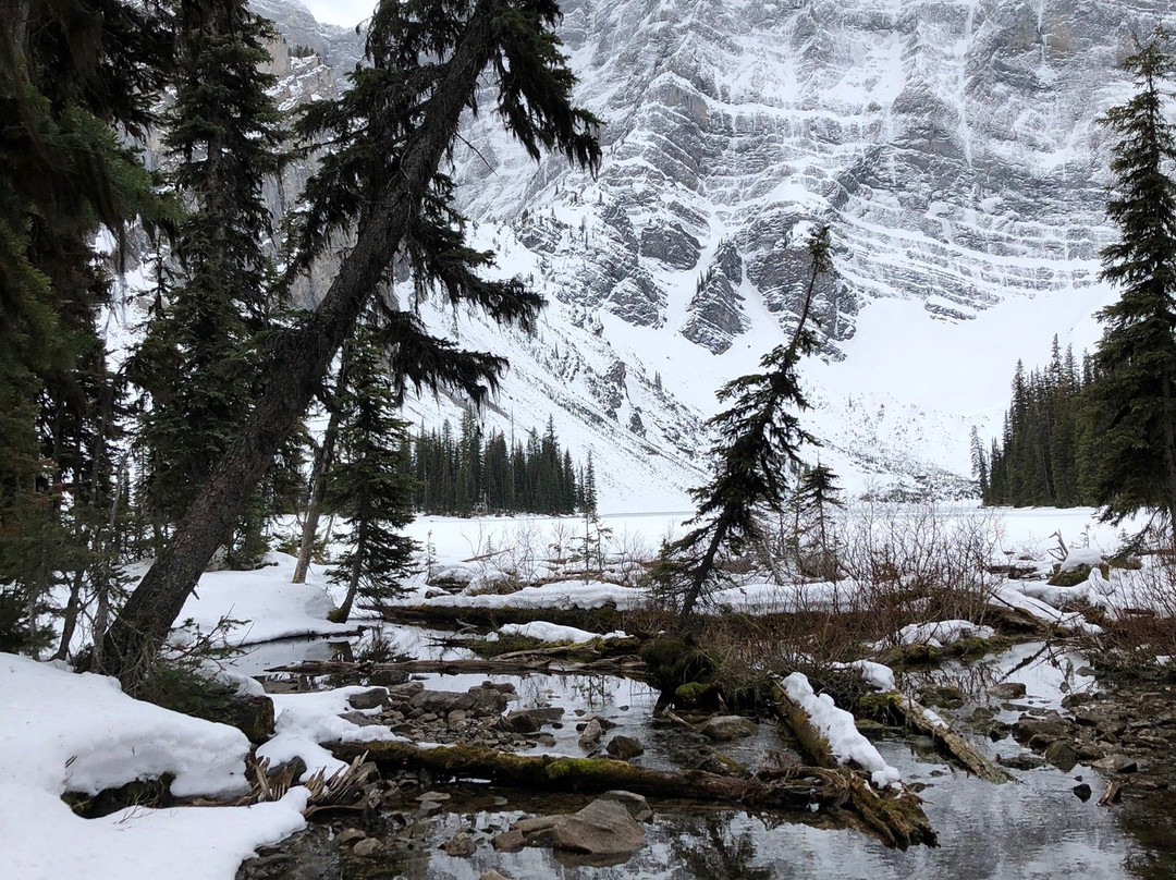 Rawson Lake Trail-卡那那斯基斯必去景点