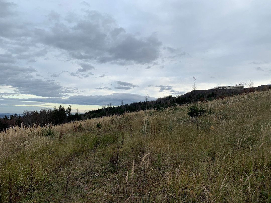 Naturpark Landseer Berge-Oberpullendorf必去景点