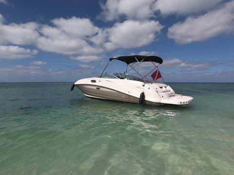 Blue Ocean Tours-乔治城必去景点