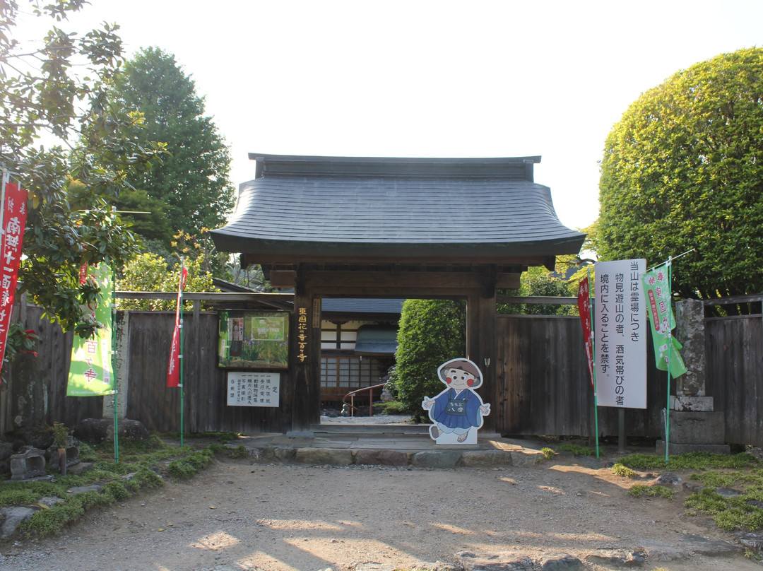 The Seizenji Temple on Mt. Seitaisan - 8th Pilgrimage Site-横濑町必去景点