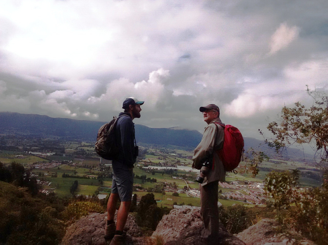 Forest of Orchids-Tenjo必去景点