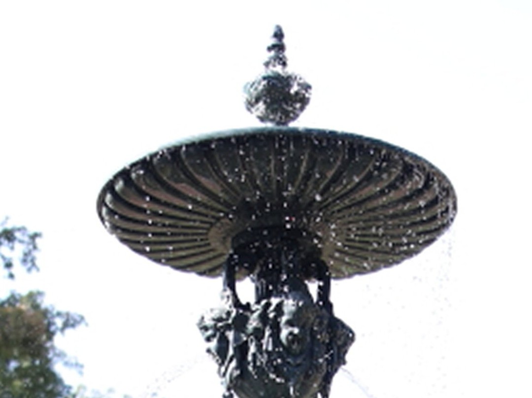 Fontaine Parc Napoléon景点图片