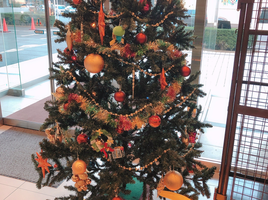 静冈县三岛市多姆斯酒店主图