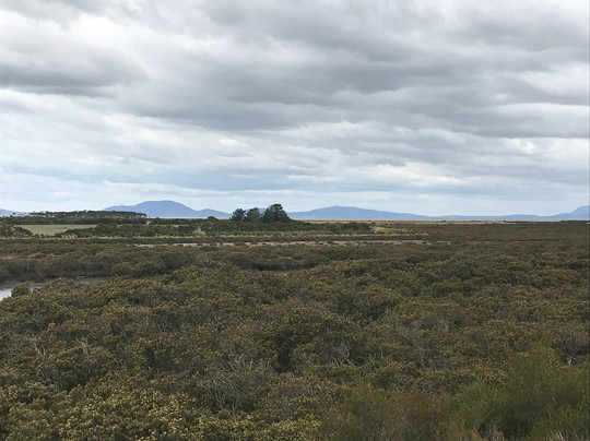 Port Franklin Public Purposes Reserve-Port Franklin必去景点
