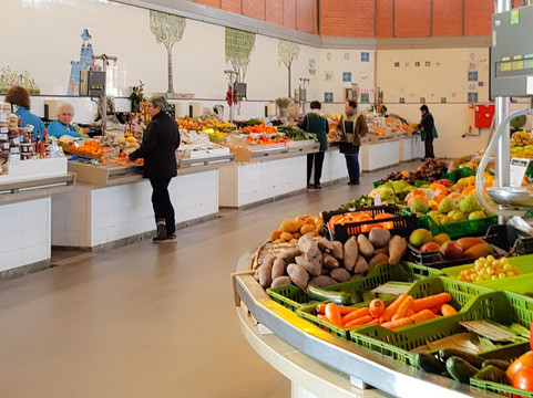 Sustainable Travels-奥良必去景点