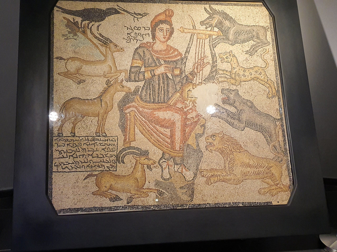 Sanliurfa Arkeoloji ve Mozaik Muzesi景点图片