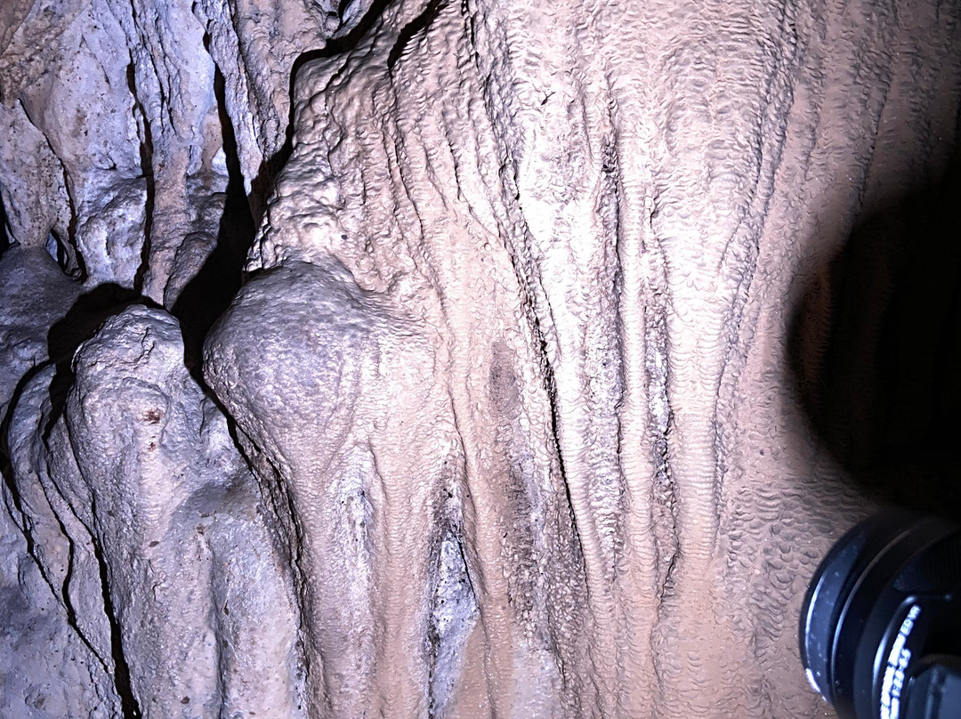 Limestone Cave Baratang-Baratang Island必去景点