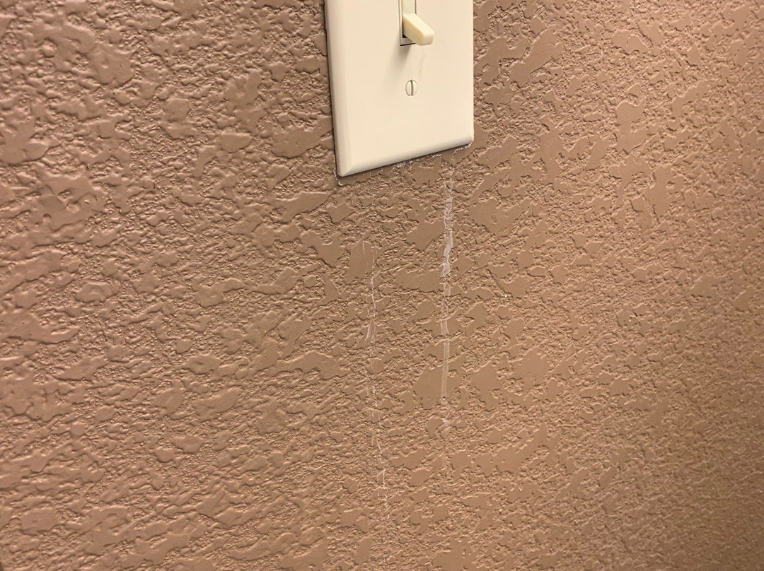 Microtel Inn & Suites by Wyndham Kenedy主图