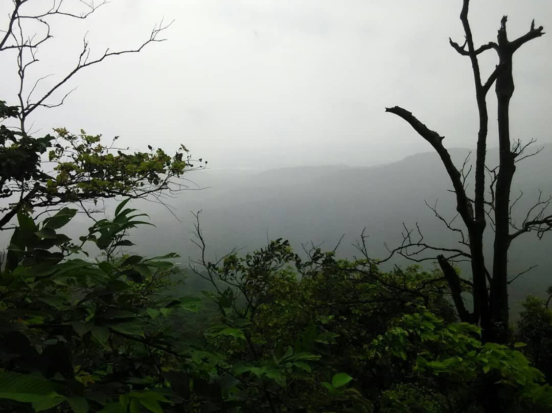 Karnala Fort景点图片