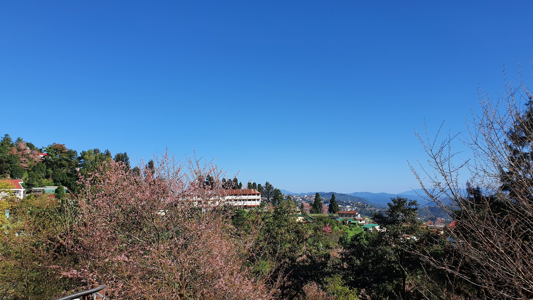 Niraamaya Retreats Aradura Kohima-酒店景观