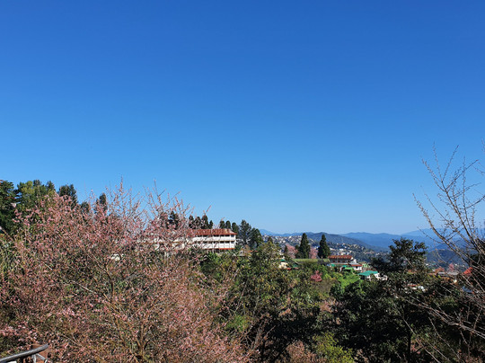 Niraamaya Retreats Aradura Kohima主图