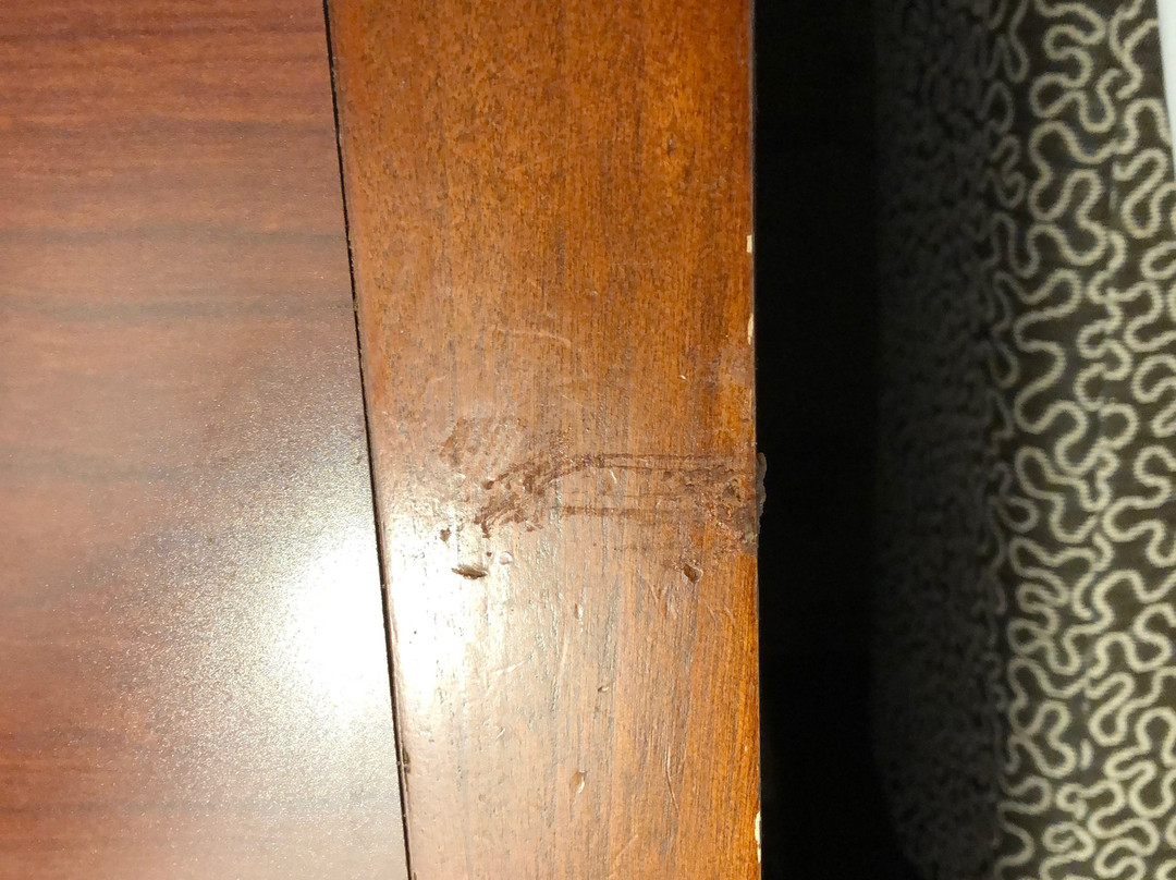 Hilton Garden Inn Macon / Mercer University主图