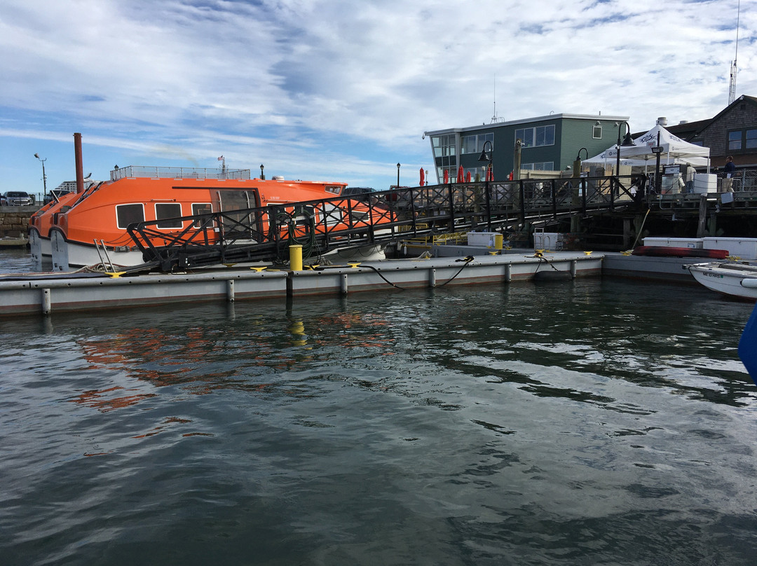Bar Harbor Town Pier-巴港必去景点