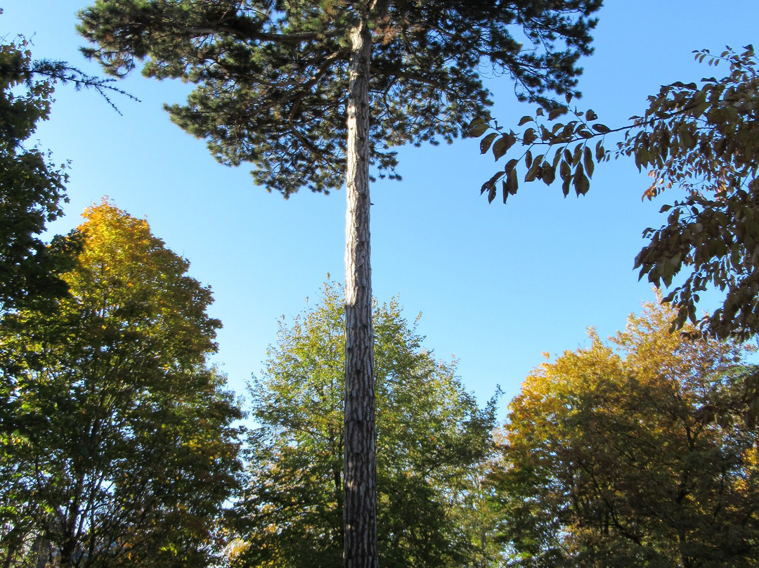 Parc Guérin-Neuilly-sur-Marne必去景点