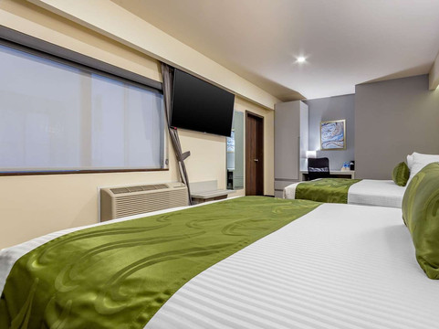 凯艺酒店-三藩市奇瓦瓦主图