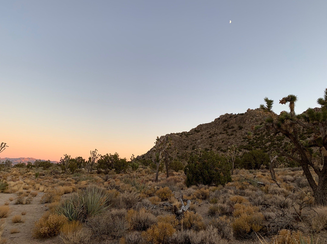 Teutonia Peak-Cima必去景点