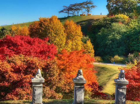 首尔奥林匹克花园酒店主图