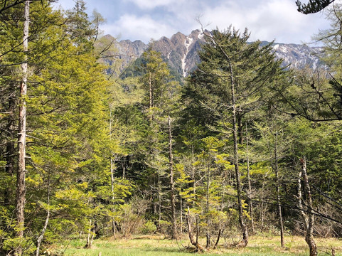 Tashiro Shitsugen-松本市必去景点