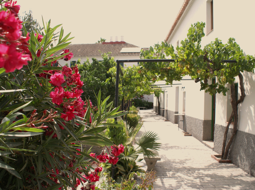 Finca La Cañota主图