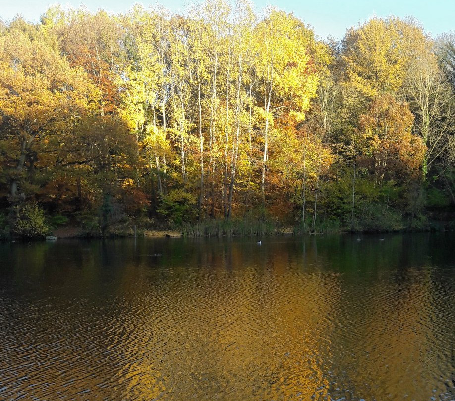 Moss Valley Country Park景点图片