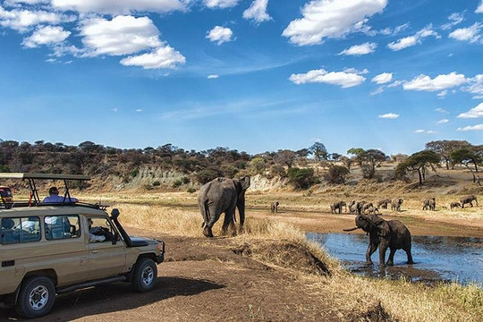 Gracepatt Safaris-Karen必去景点
