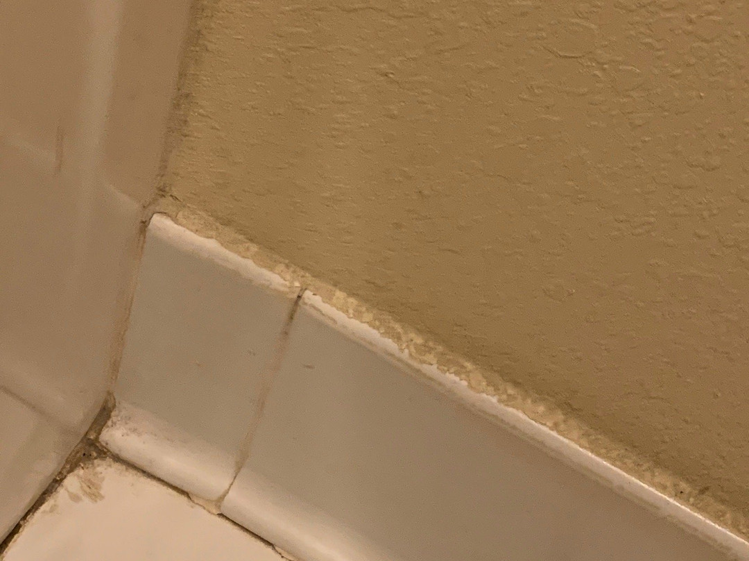 玻德斯套房酒店主图