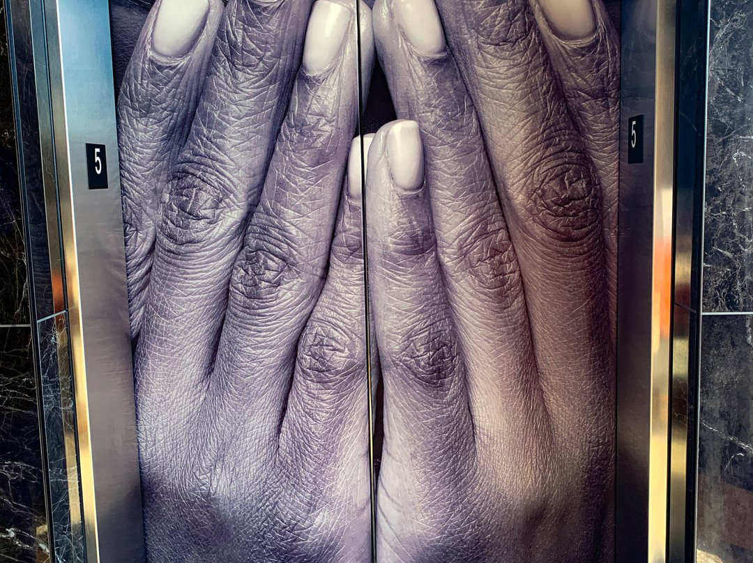 The Edwin Hotel主图