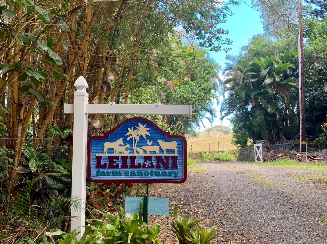 Leilani Farm Sanctuary景点图片
