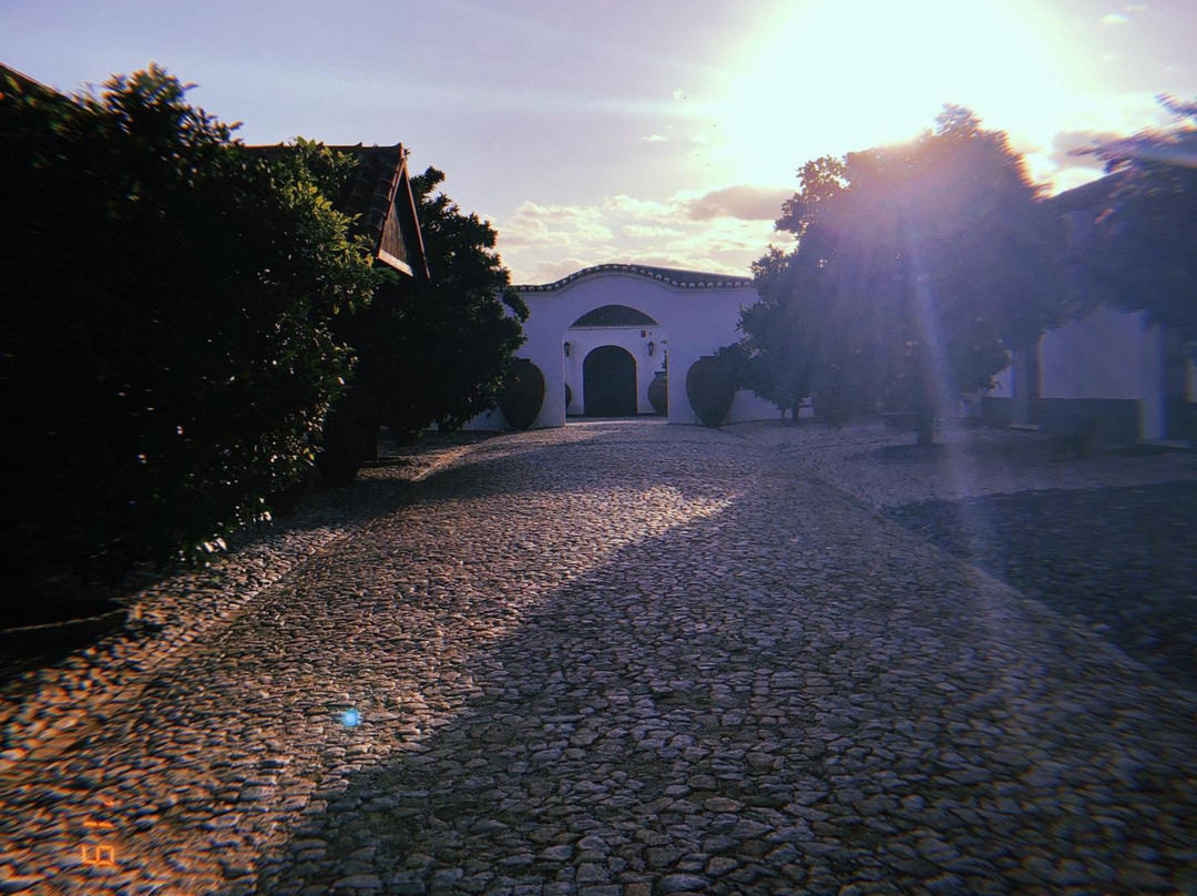 Cortes de Cima景点图片