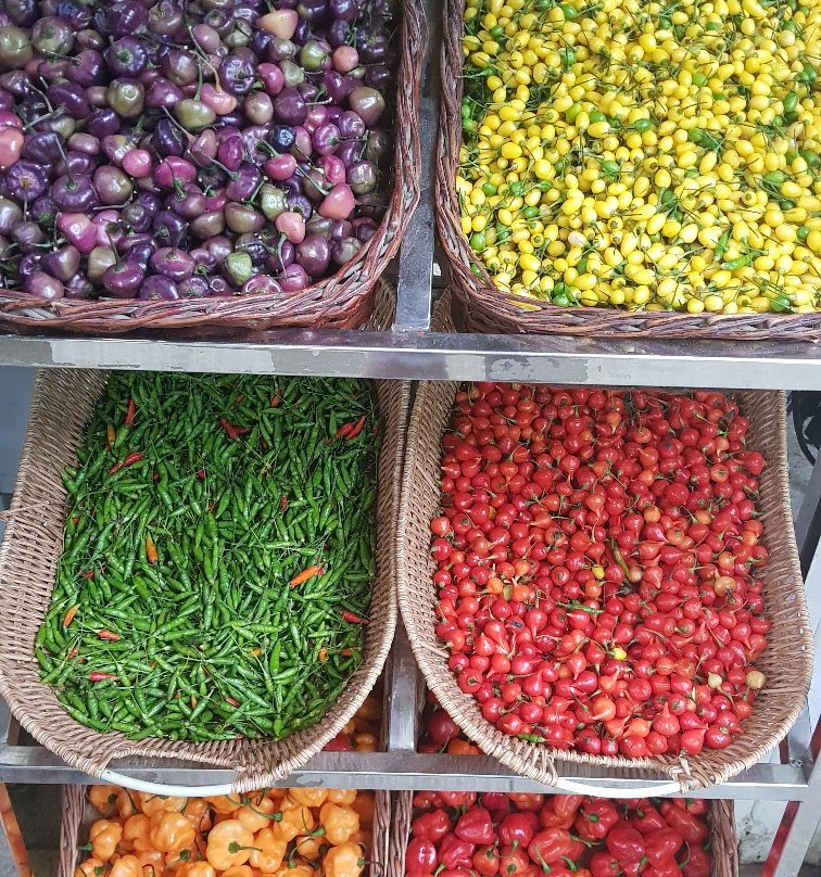 Mercado do Rio Vermelho-萨尔瓦多必去景点