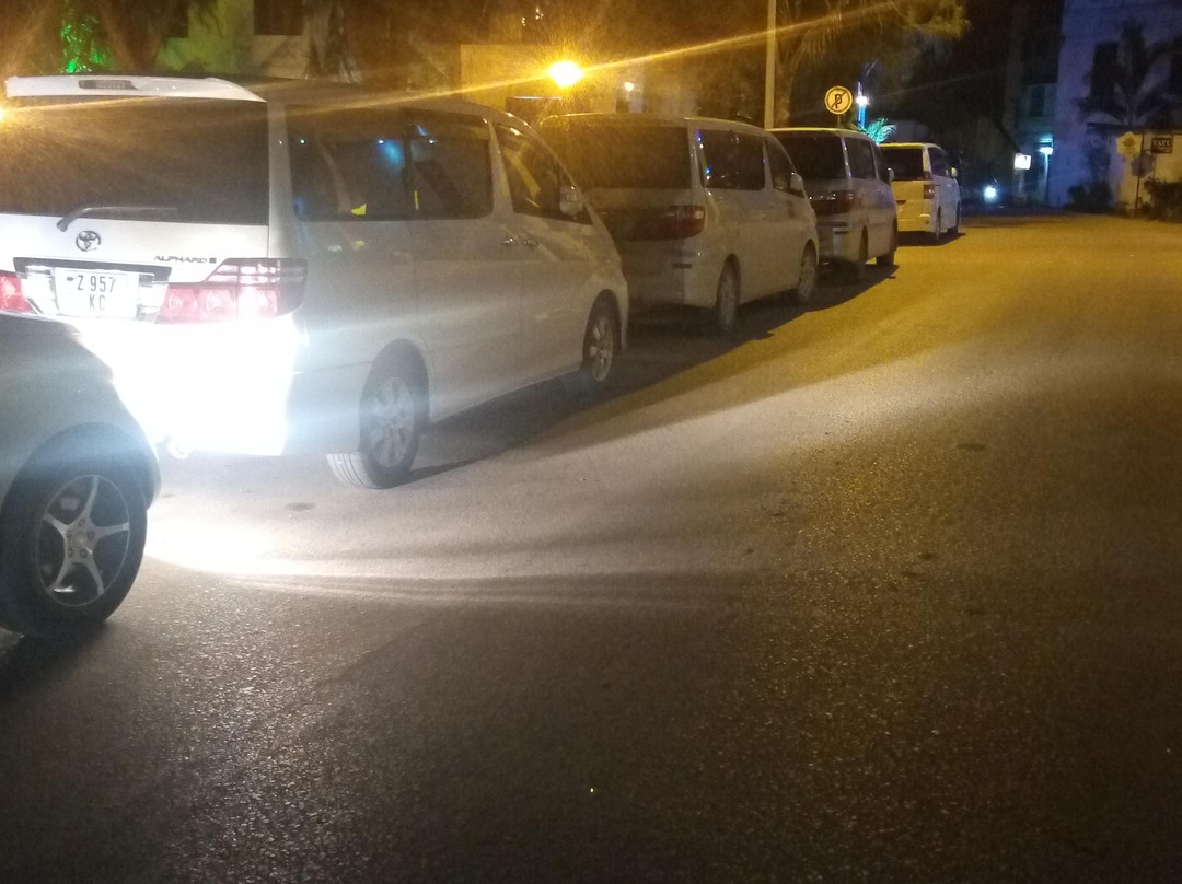 WE CAB TOURS & SAFARIS-桑给巴尔市必去景点