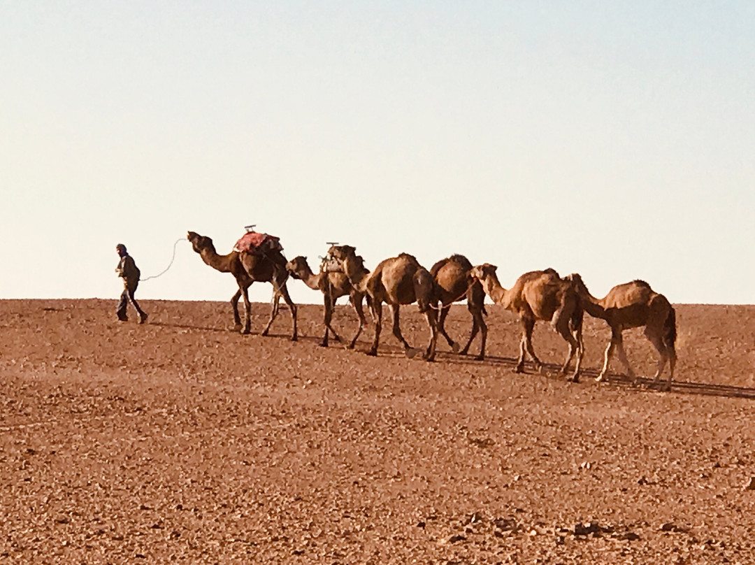 Sahara Relax景点图片