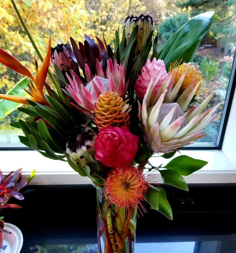 No Ka Oi Protea Farm-库拉必去景点