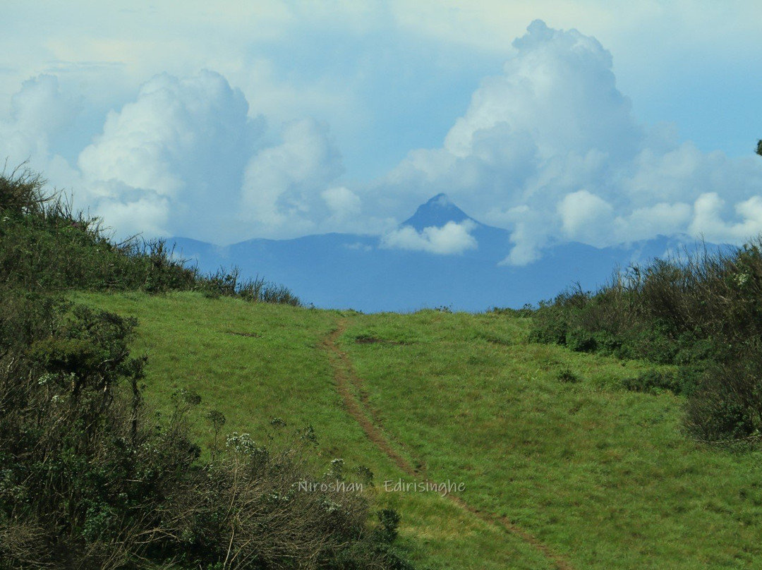 Chariot Path Kandy景点图片
