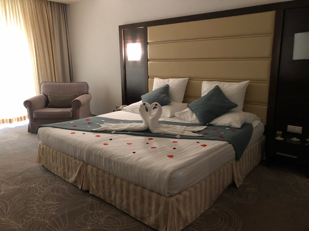 Pirin Park Hotel主图